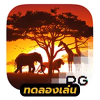 Safari-Wilds